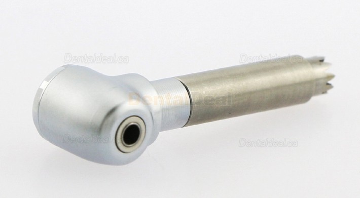 YUSENDENT/COXO CX235-1B/1C/1E Contra-angle Replacement Head